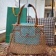 Goyardine Net Aligre Tote Blue - 30x34x7cm - 1