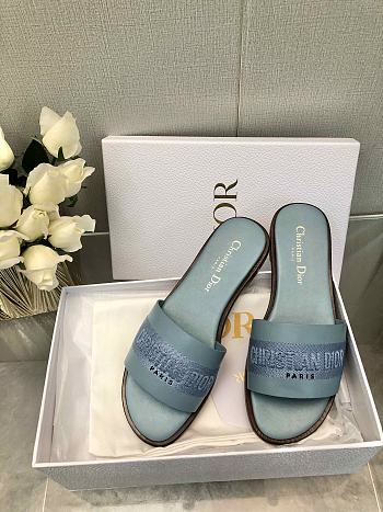 Dior SS24 Blue Slippers
