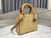 Dior Lady Square Raffia With Brown Handle - 24x20x11cm - 3