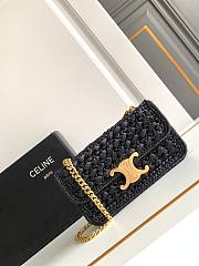 Celine Triomphe In Black Raffia - 20.5x10.5x4cm - 1