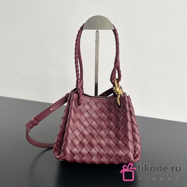 Bottega Veneta Small Andiamo Burgundy Bag - 21x17x16.5cm - 1