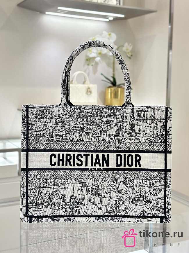 Dior Book Tote Bag Medium Paris Allover Embroidery - 36x18x28cm - 1