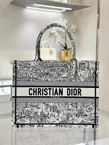 Dior Book Tote Bag Medium Paris Allover Embroidery - 36x18x28cm