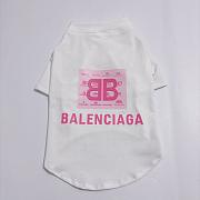 Balenciaga Pet Clothes - 3