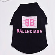 Balenciaga Pet Clothes - 2