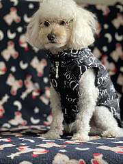 Dior Pet Clothes 01 - 3