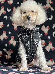 Dior Pet Clothes 01 - 2