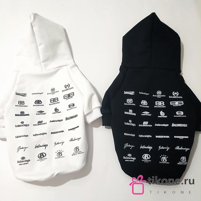 Balenciga Pet Clothes - 1