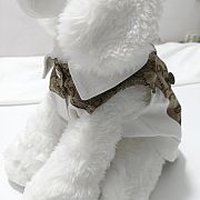 Gucci Pet Clothes 06 - 5