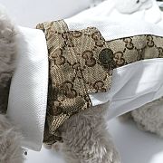 Gucci Pet Clothes 06 - 2