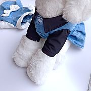 Chanel Pet Clothes 03 - 5