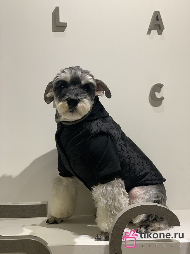 Gucci Pet Clothes 12 - 1