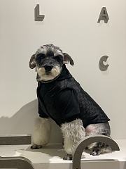 Gucci Pet Clothes 12 - 1