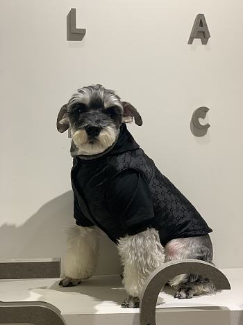 Gucci Pet Clothes 12