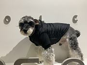 Gucci Pet Clothes 12 - 2