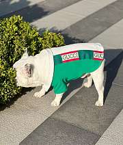 Gucci Pet Clothes 18 - 5