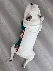 Gucci Pet Clothes 18 - 4