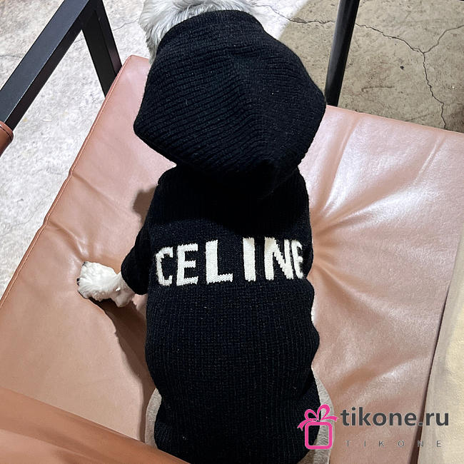 Celine Pet Clothes 01 - 1