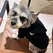 Celine Pet Clothes 01 - 2