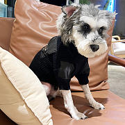 Prada Pet Clothes 06 - 1