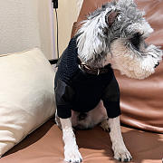 Prada Pet Clothes 06 - 5