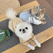 Chanel Pet Clothes 07 - 1