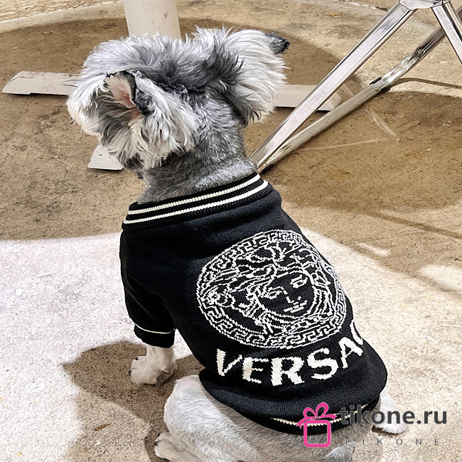 Versace Pet Clothes 02 - 1