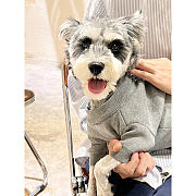 Dior Pet Clothes 06 - 3