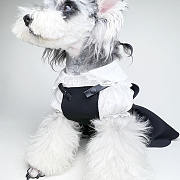 Prada Pet Clothes 08 - 2