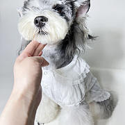 Prada Pet Clothes 08 - 4