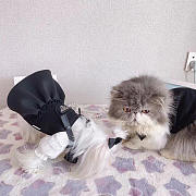 Prada Pet Clothes 08 - 3