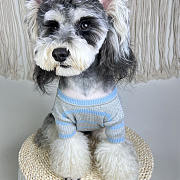 Prada Pet Clothes 09 - 5