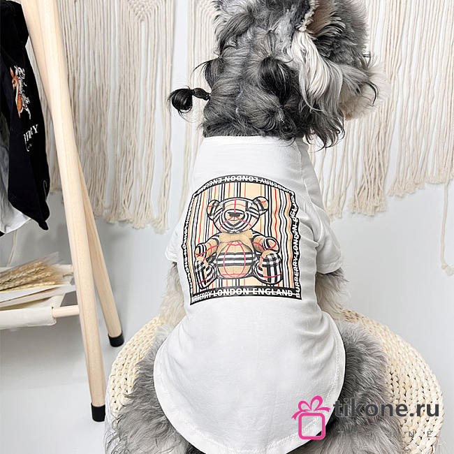 Bubbery Pet Clothes 08 - 1