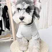 Bubbery Pet Clothes 08 - 3