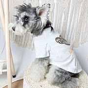 Bubbery Pet Clothes 12 - 3