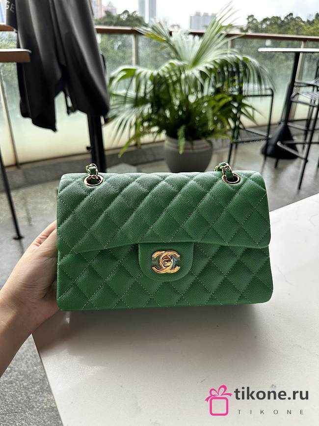 Chanel Classic Fresh Green Caviar Bag 23cm - 1