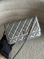 Chanel Wallet On Chain Silver Lambskin Bag - 19.5x12x3.5cm - 1