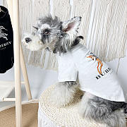 Bubbery Pet Clothes 14 - 3