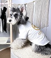 Versace Pet Clothes 05 - 2