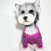 Versace Pet Clothes 06 - 4