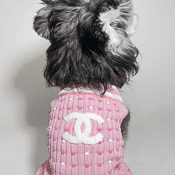 Chanel Pet Clothes 10