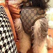 Gucci Pet Accessories - 3