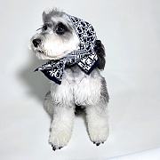 Dior Pet Clothes 11 - 2