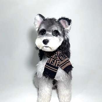 Fendi Pet Scraft