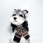 Fendi Pet Scraft - 3