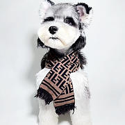 Fendi Pet Scraft - 2