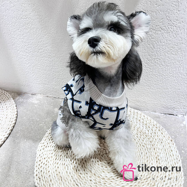 Dior Pet Clothes 12 - 1