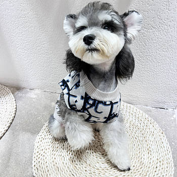 Dior Pet Clothes 12