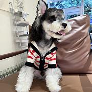 Dior Pet Clothes 13 - 1