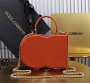 Dolce&Gabbana Logo Box In Orange Leather Bag - 20x15x6.5cm - 4